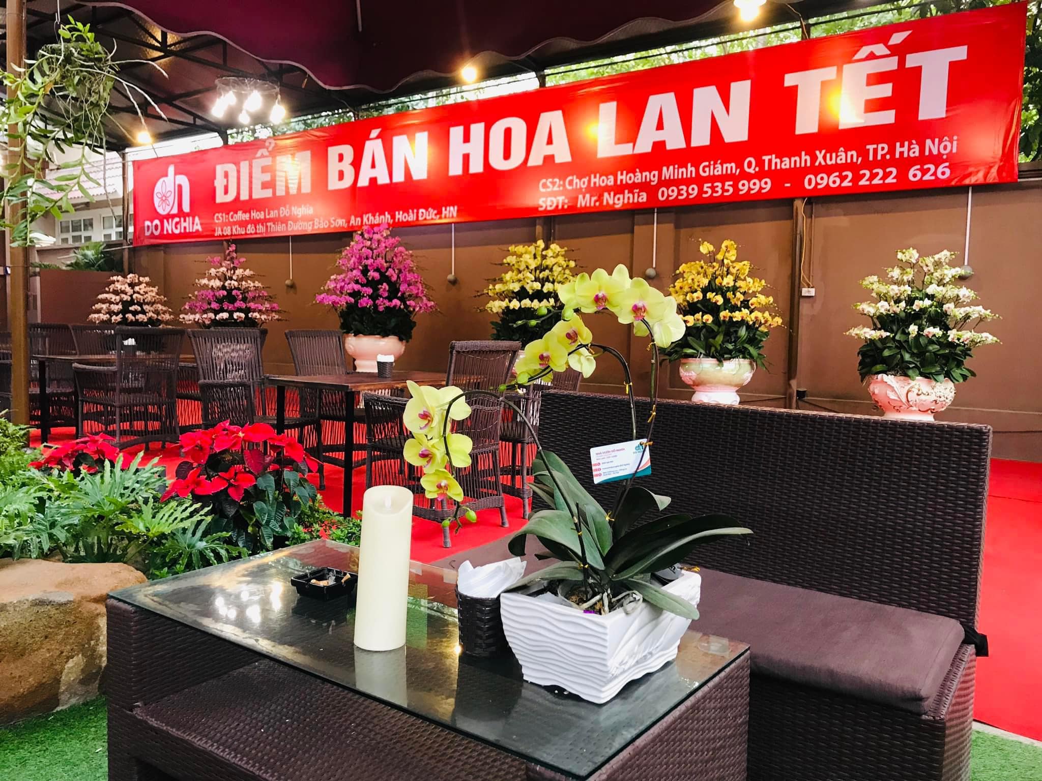 HOA LAN ĐỖ NGHĨA