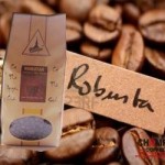 Champa Espresso 2